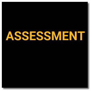 Assessment Graphic