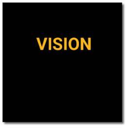 Vision Graphic